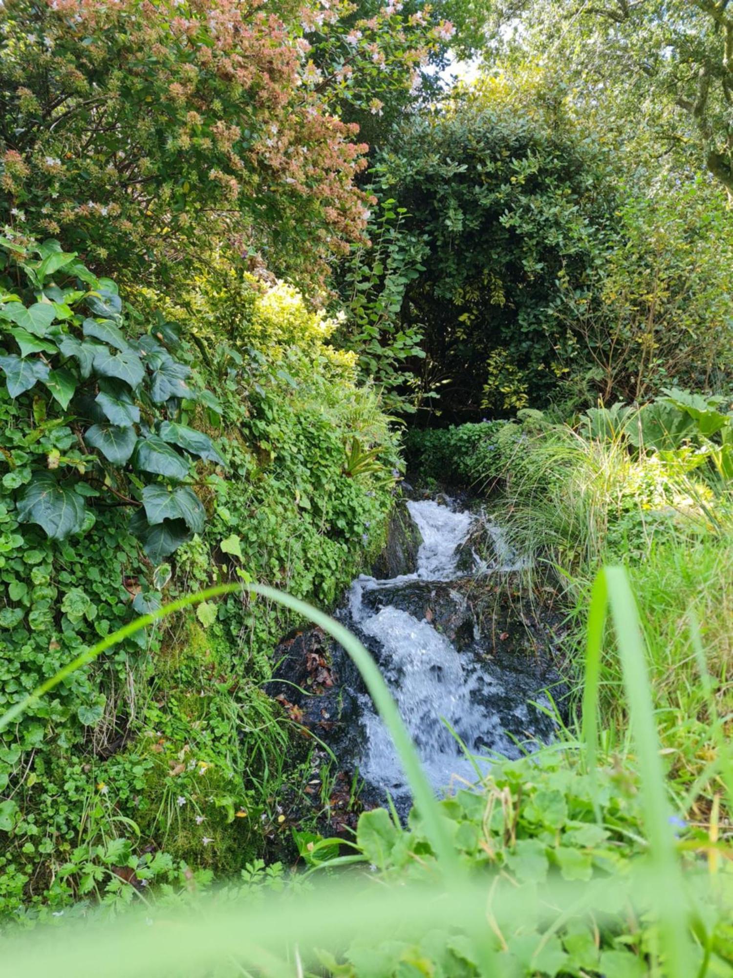 Moulin De Bonnescat Villa Plogonnec Bagian luar foto